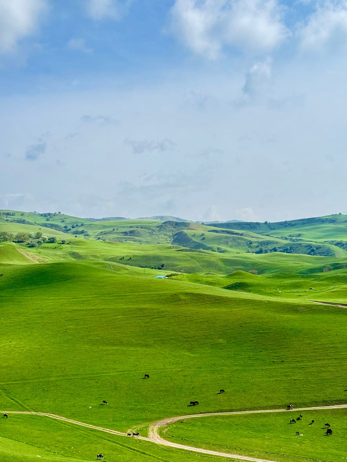 Chiroyli manzarada piknik — faqat qizlar uchun — 3