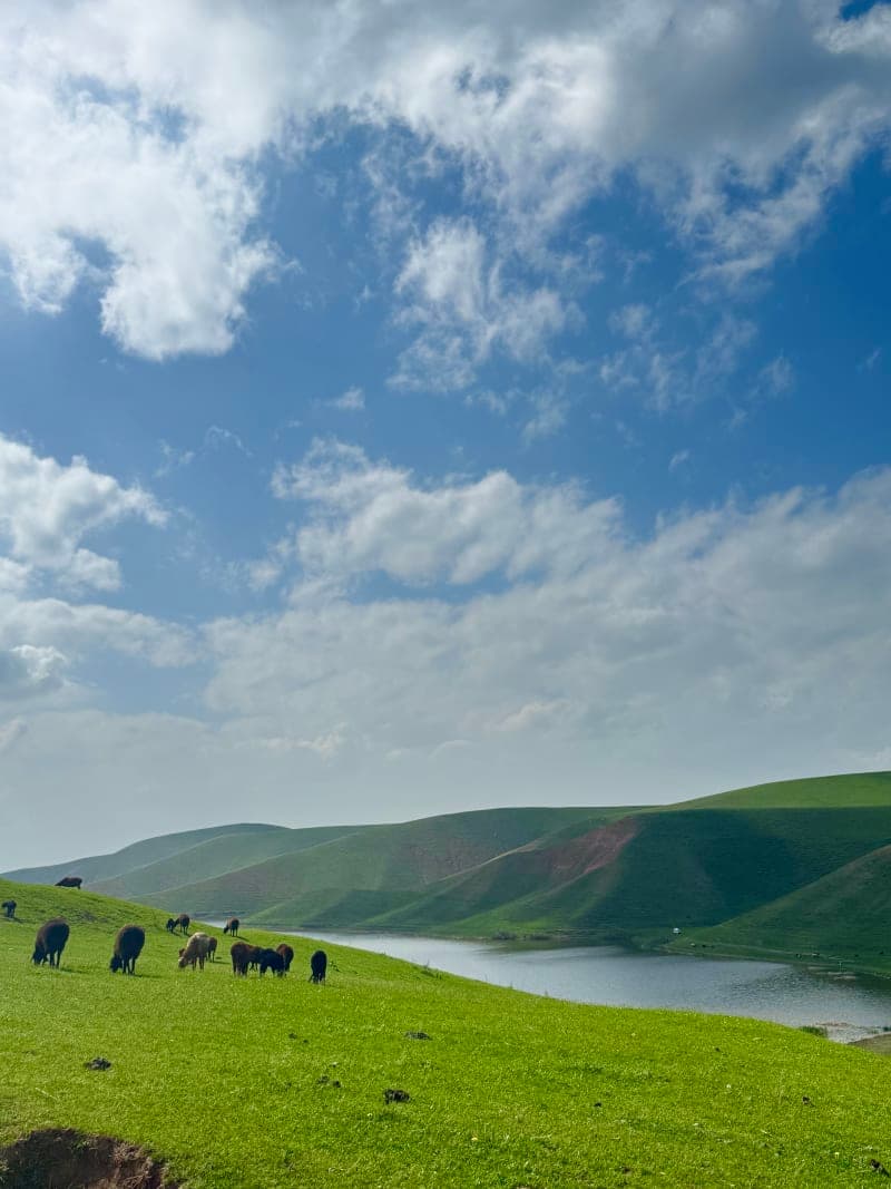 Пикник с видом — только для девушек 2